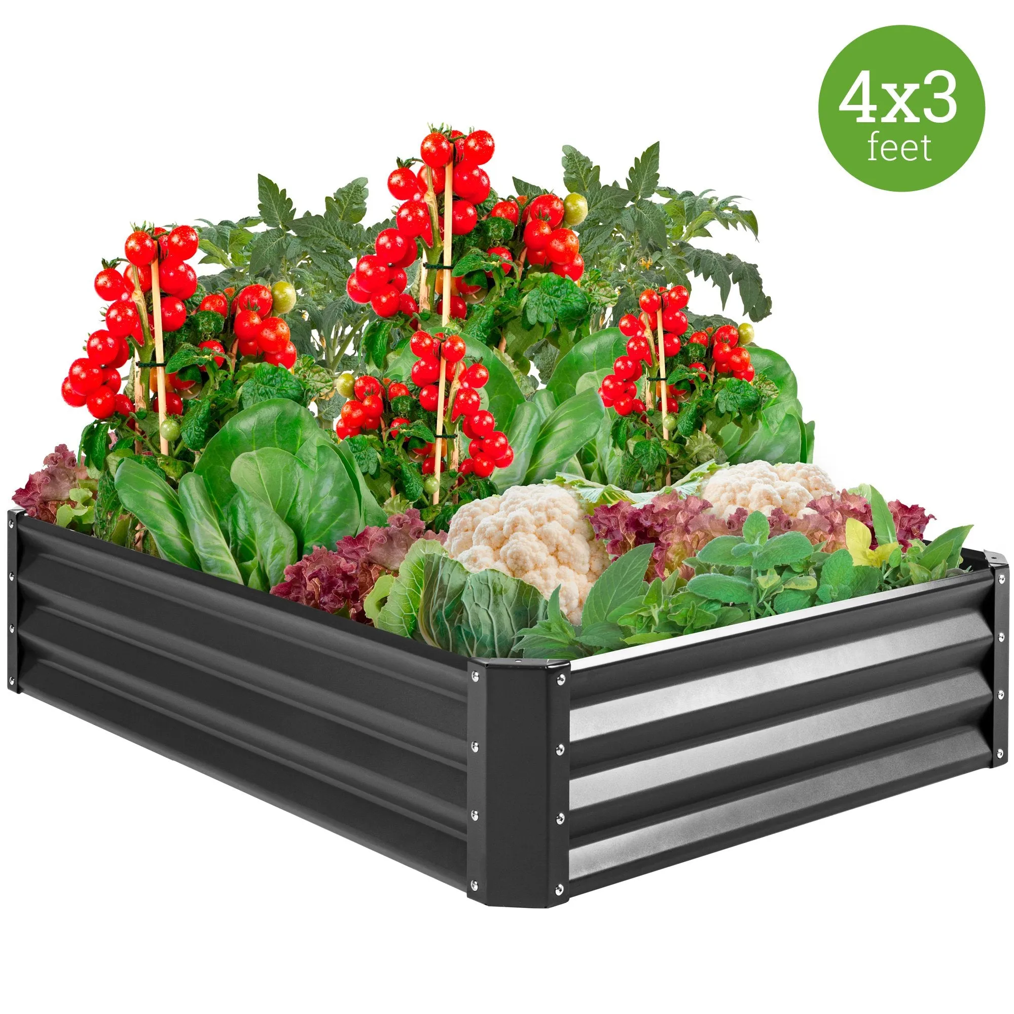 4x3x1ft Outdoor Metal Raised Garden Bed for Vegetables, Flowers, Herbs