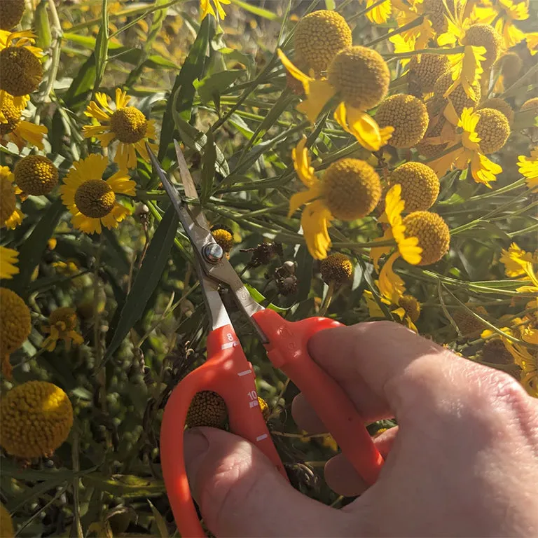 Chikamasa Trimming Pruners B-500SLF