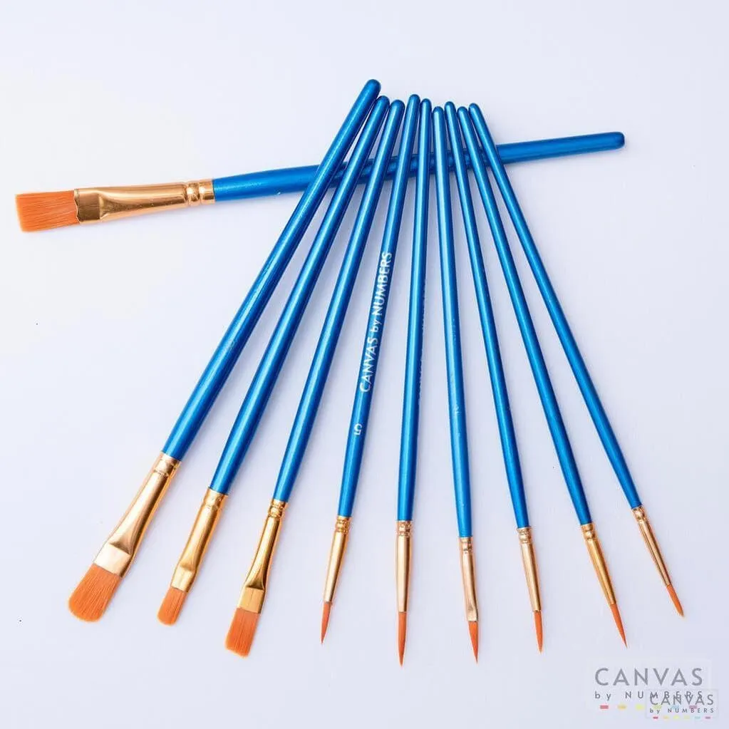 Extra 10 Pcs High Quality Paint Brushes