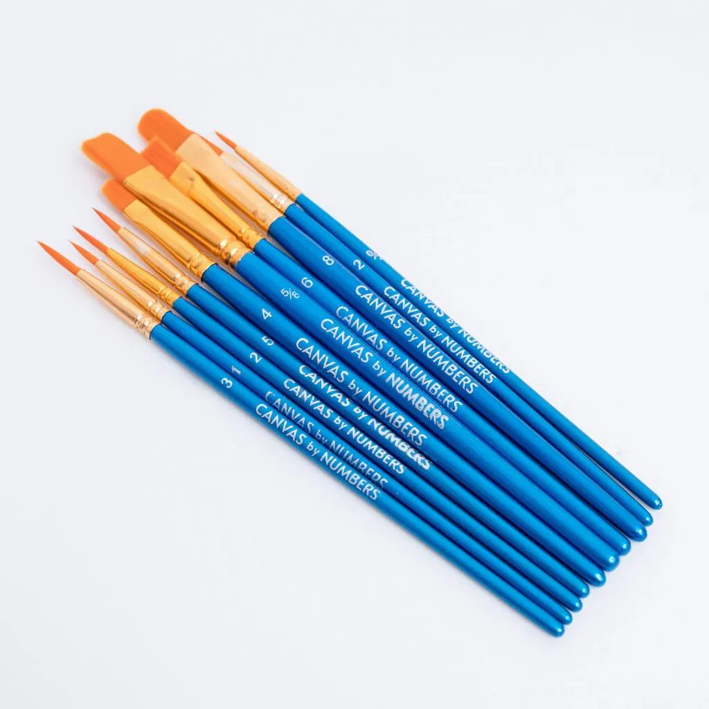 Extra 10 Pcs High Quality Paint Brushes