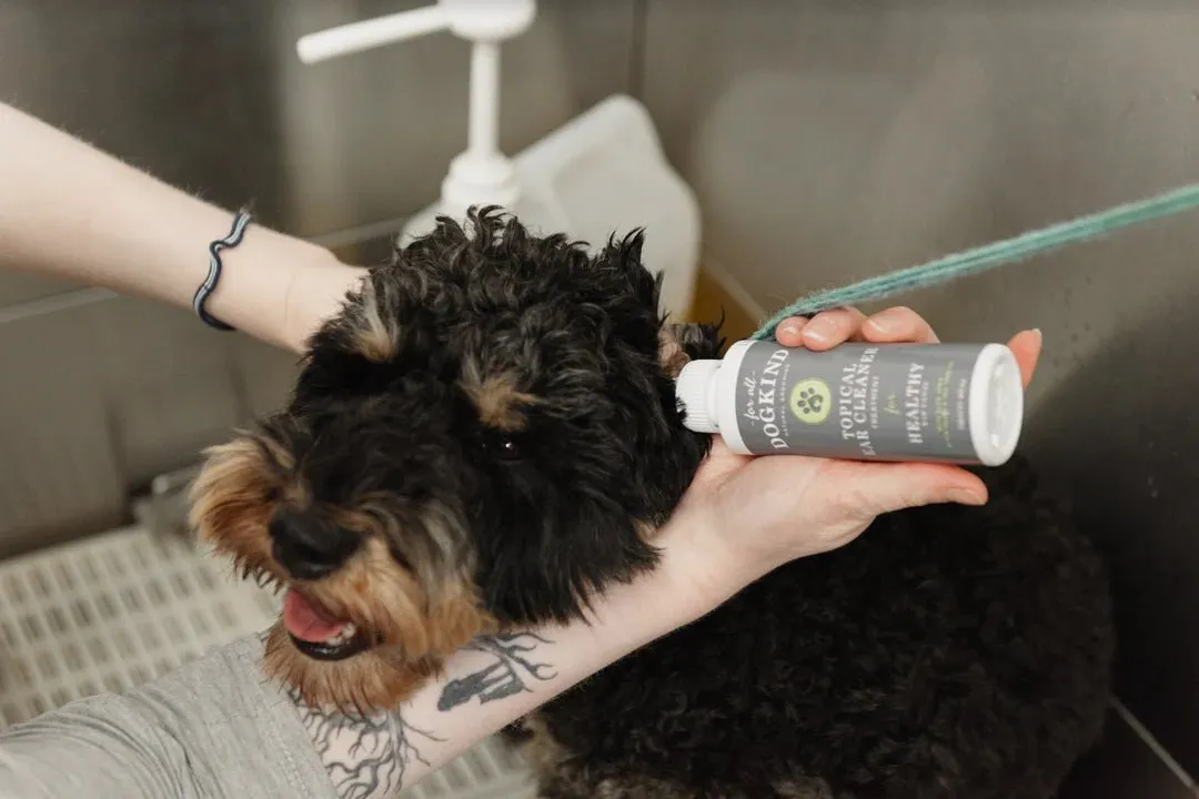 For All DogKind - Topical Ear Cleaner