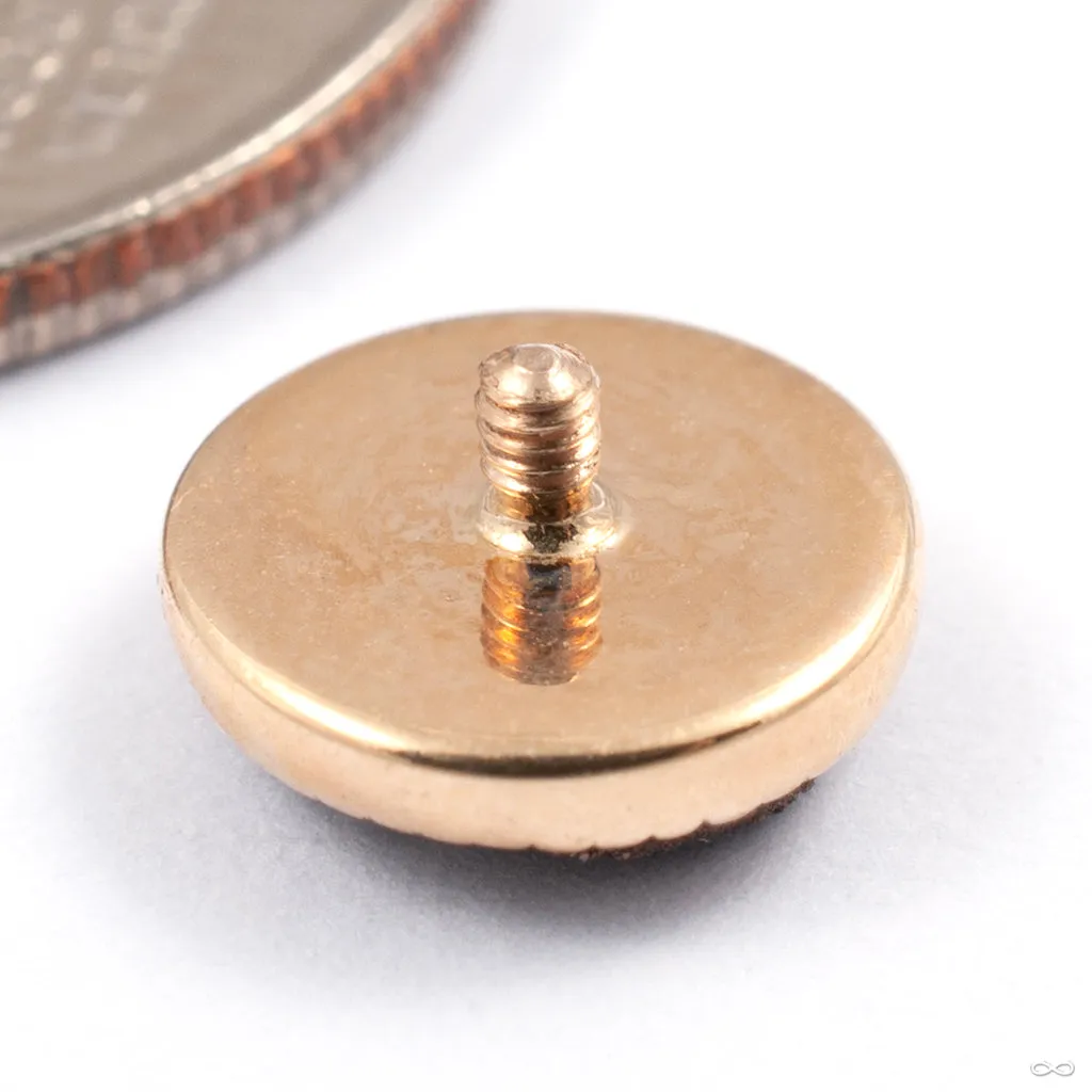 Grizant Druzy Threaded End in Gold from Auris Jewellery