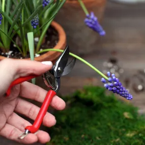 Indoor Garden Pruners