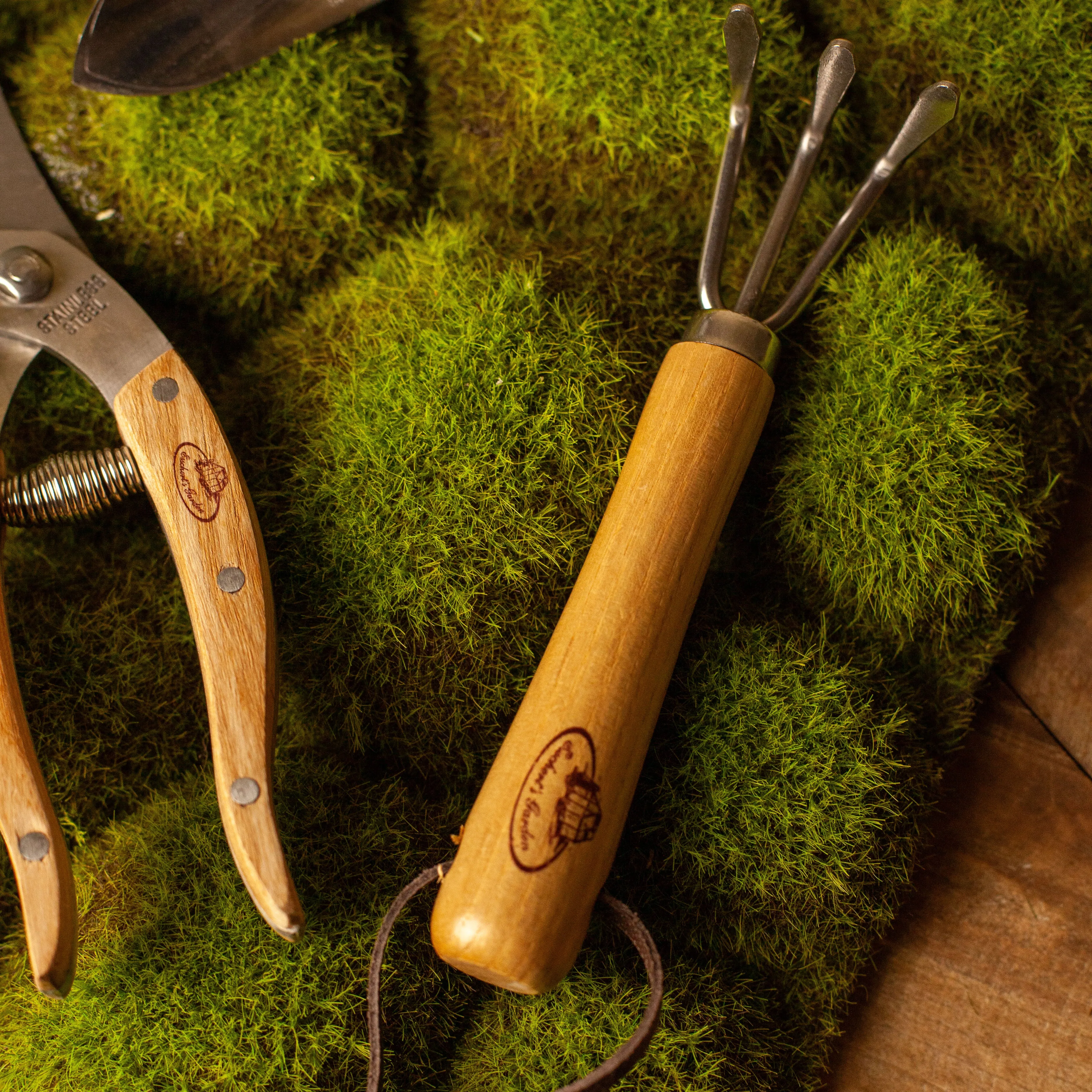 Indoor Gardening Set