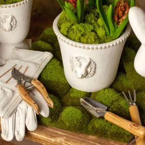 Indoor Gardening Set