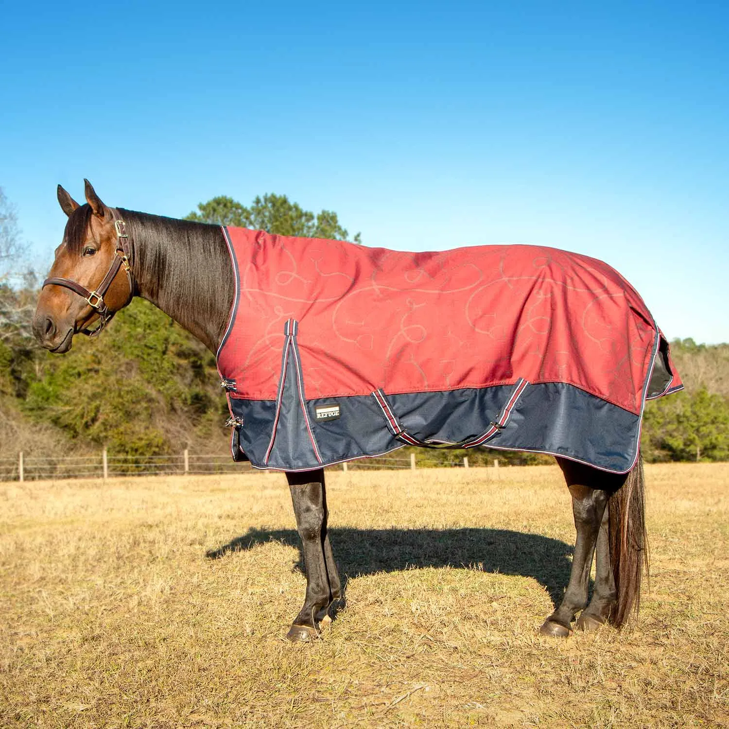 Jeffers Poplar Head Uniquely English 1200 Denier Turnout Blanket with High Neck, 240 Gram, Merlot Snaffles & Irons