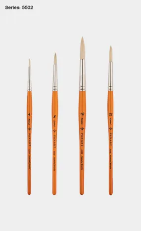 PANART CAMPUS BRISTLE ROUND SH BRUSH 502-12