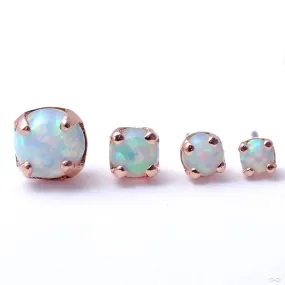 Prong-set Opal Press-fit End in Gold from LeRoi